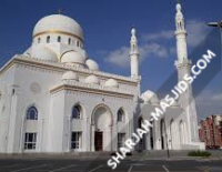Sahaynah